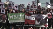 Anti-Stierkampf-Protest in Mexico